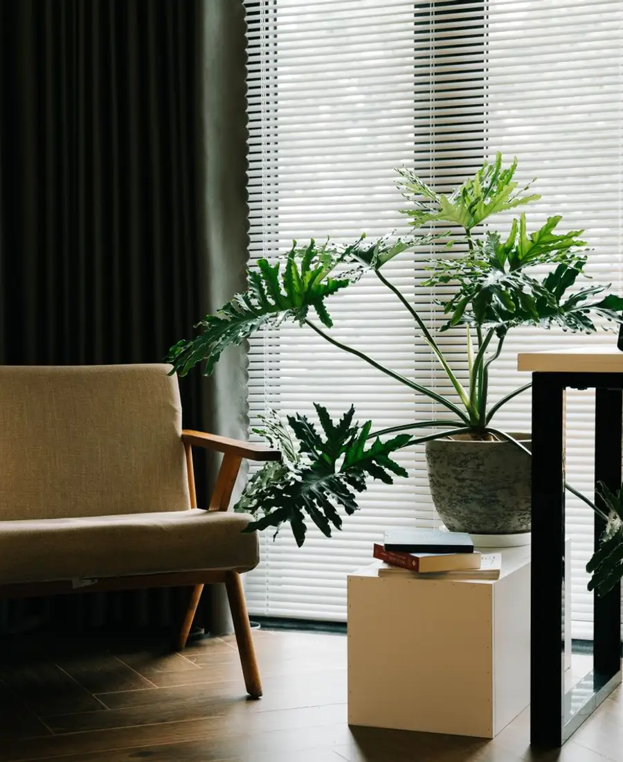A quiet, empty seating area with a plant and natural light, no signage visible